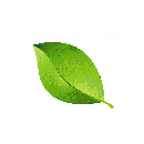 Green-Inverter-Technology